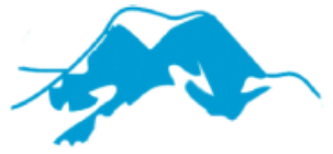 Company GmbH